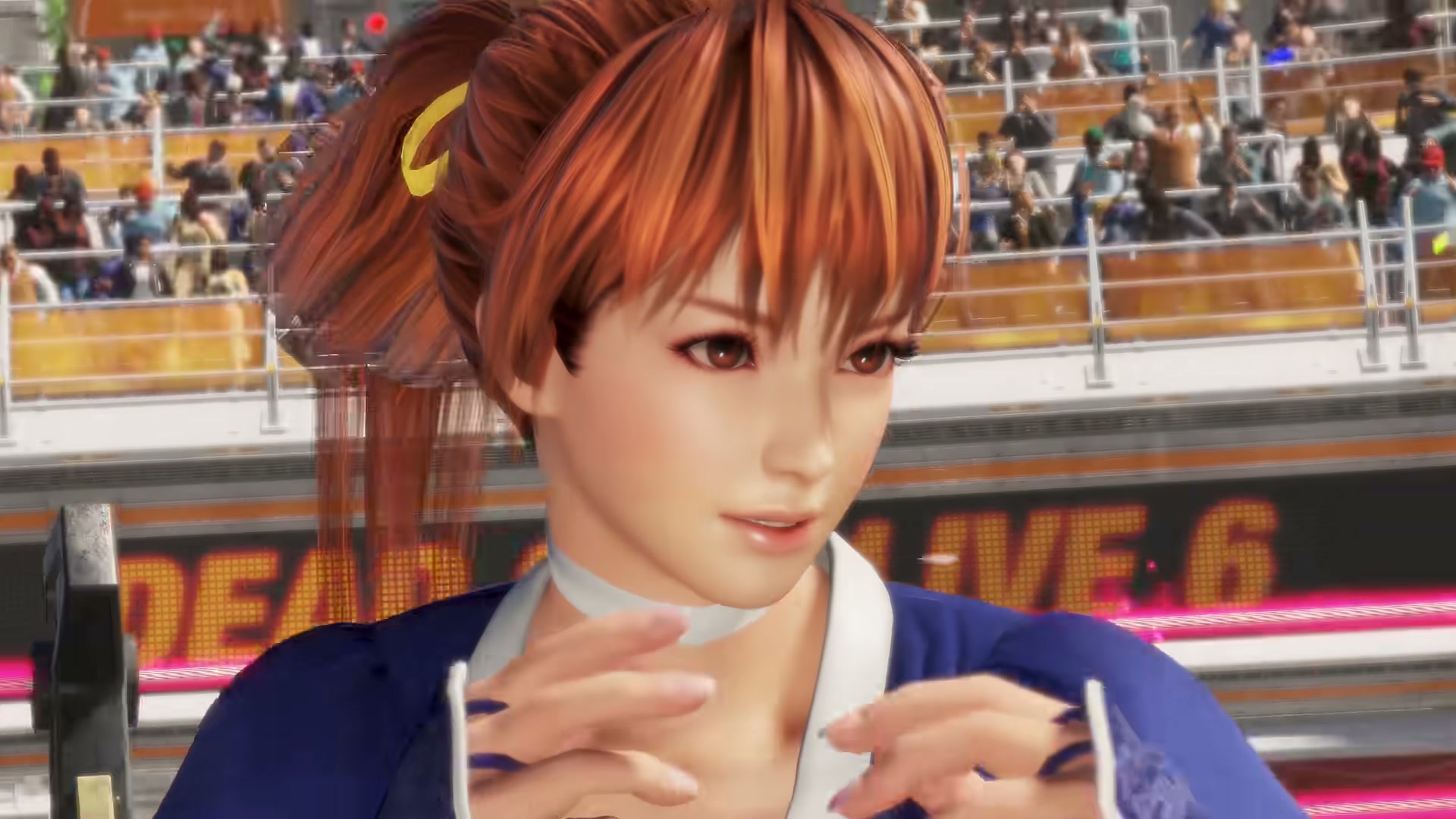 DEAD OR ALIVE 6 Last Round キャラクターラインナップと格ゲー市場での位置づけ